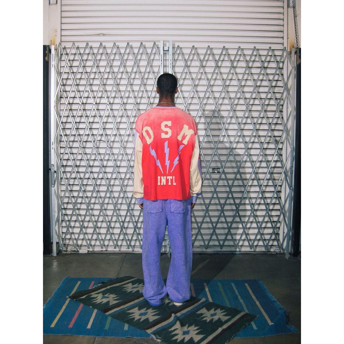 Red and purple long sleeve outfit featuring 'Diet Starts Monday | Bolt Panel Long Sleeve-Red/Purple' graphic.