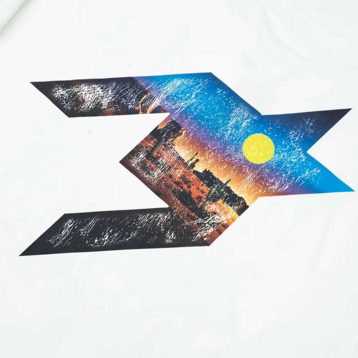 Free Refills davidson motorcycle desert graphic streetwear tee back view close up